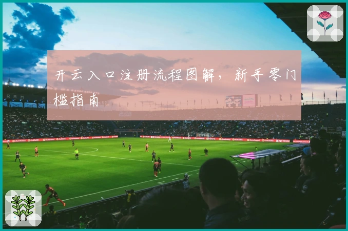 开云入口注册流程图解,新手零门槛指南