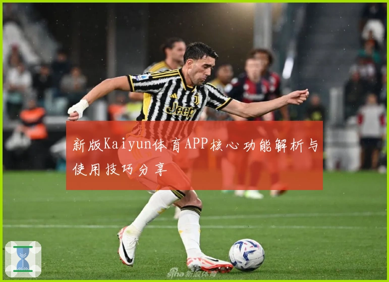 新版Kaiyun体育APP核心功能解析与使用技巧分享
